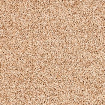 Vorwerk Teppichboden Conzano 8L92 pfirsich – Teppichboden in zartem Pfirsichton, warm und leicht, Meterware in 4 oder 5 m Breite, nur 44,95 €